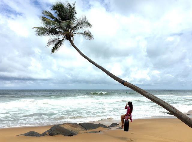 Coconut Swing
