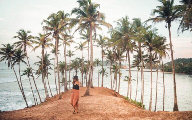Coconut Tree Hill