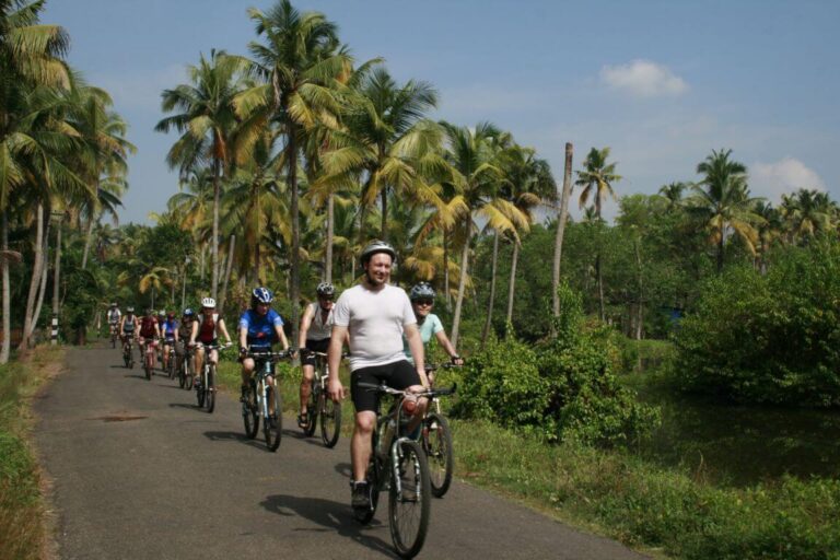 Cyclists Touring Town