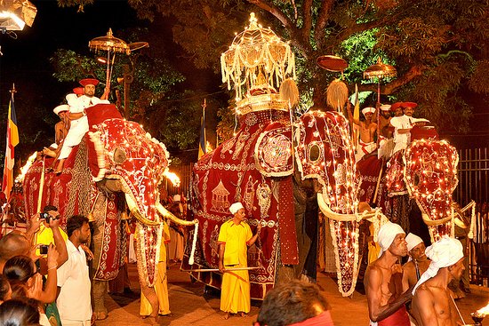 Festival of Night