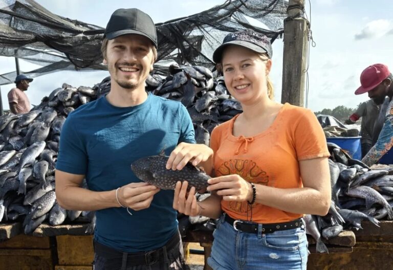 Fish Market