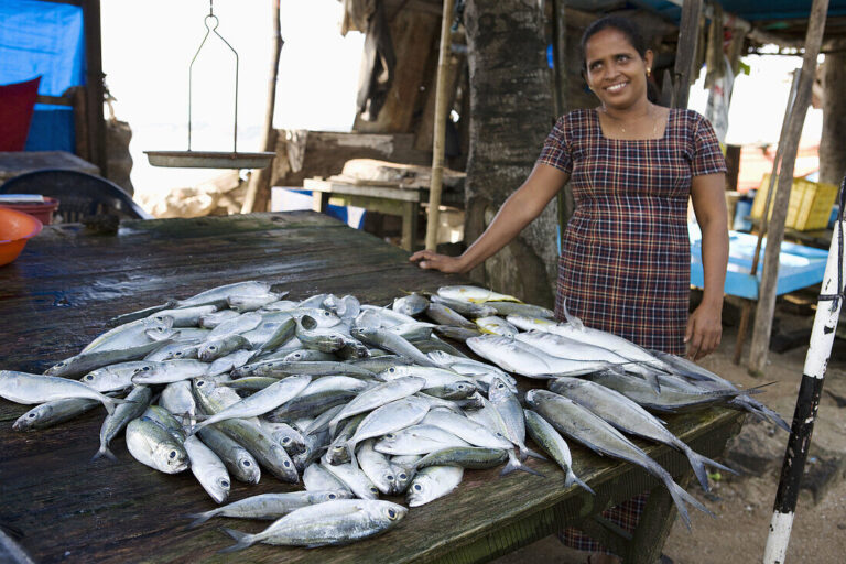 Fish Market