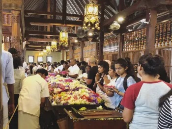 Floral Devotion