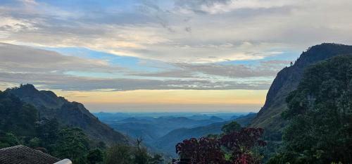 Hilltop View