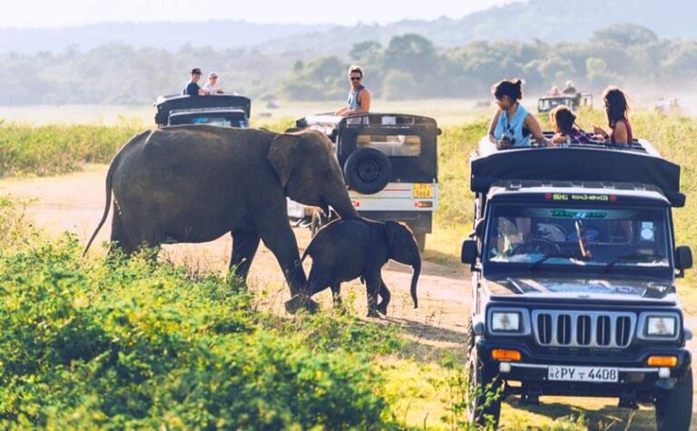 Jeep Safari