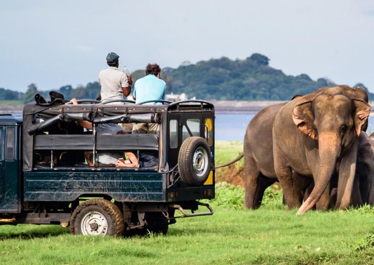 Jeep Safari