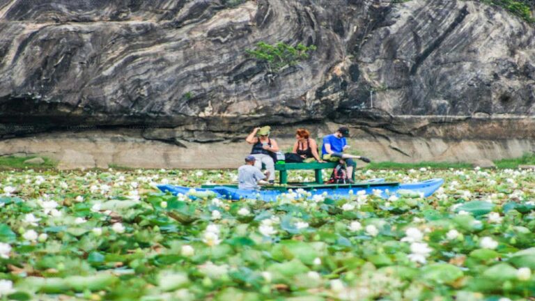 Local Catamaran Ride