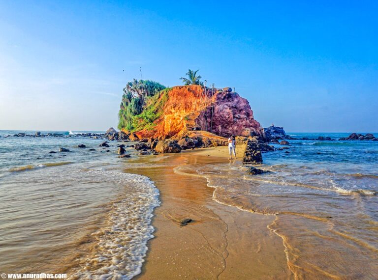 Parrot Rock