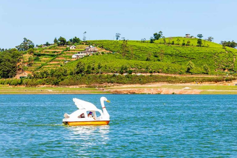 Peaceful Boat Ride