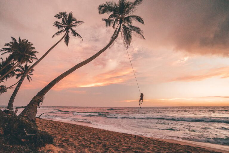 Rope Swing