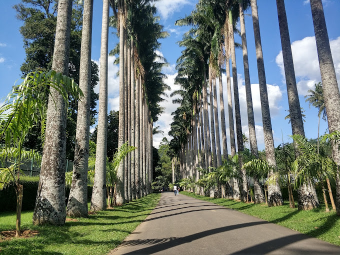 Royal Botanical-garden