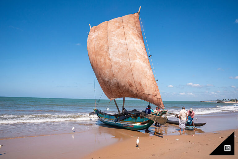 Sailboat Shore