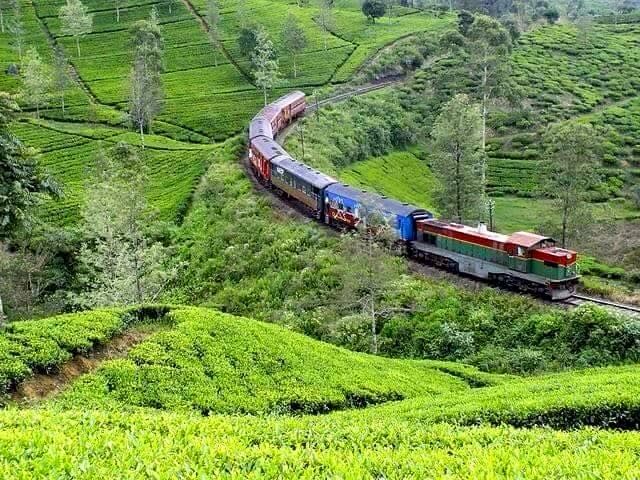 Tea Estates Ride