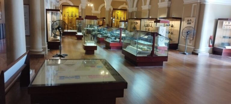 The Museum Visit