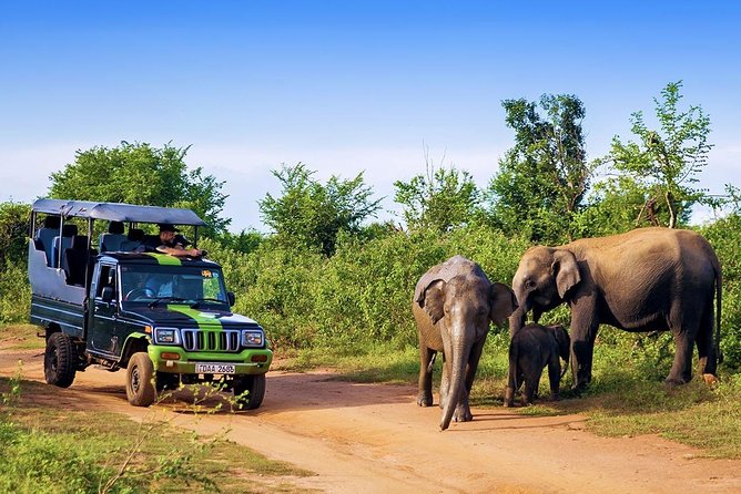 Udawalawe Safari